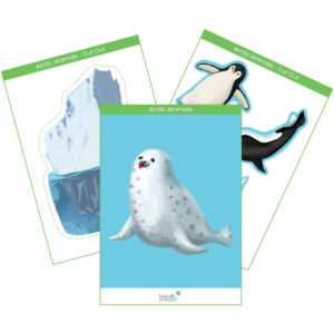 arctic animals flashcards & interactive cards product cover
