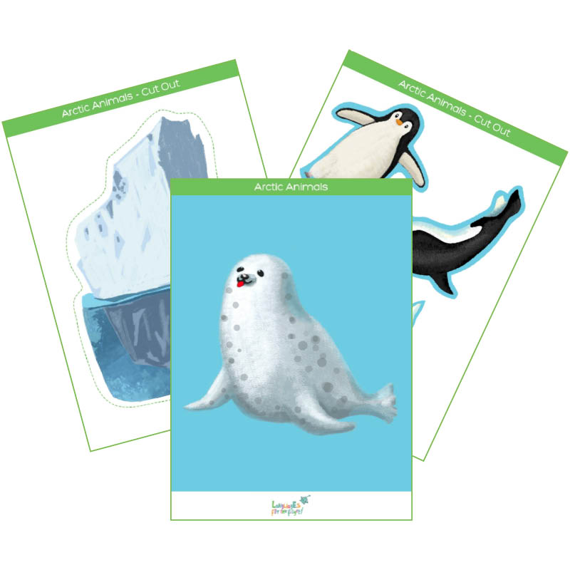 Arctic Animals Flashcards & Cut-outs