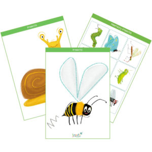 insects & small animals printable flashcards feat. img