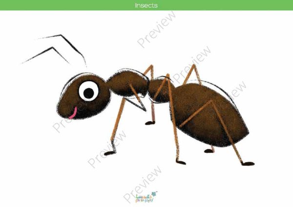 printable flashcards, ant