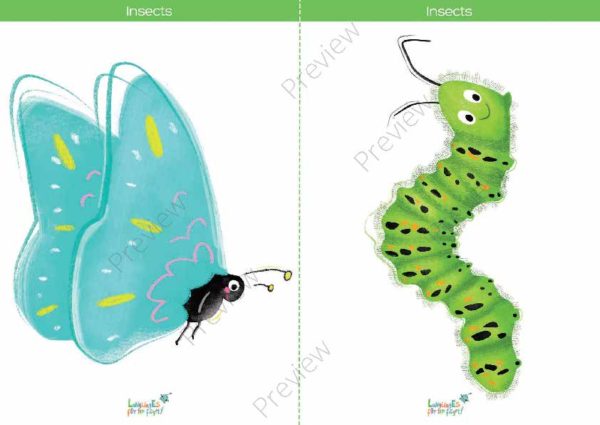 printable flashcards, butterfly, caterpillar