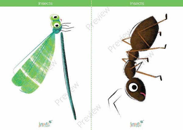printable flashcards, dragonfly, ant