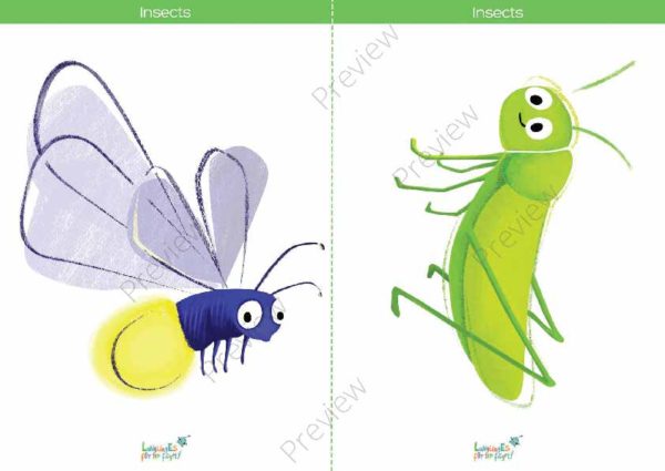printable flashcards, firefly, grasshopper