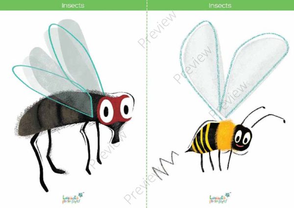 printable flashcards, fly, bee