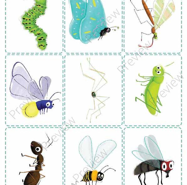 Insects and Small Animals Printable Flashcards Pack