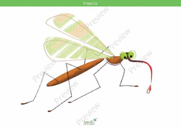 printable flashcards, mosquito