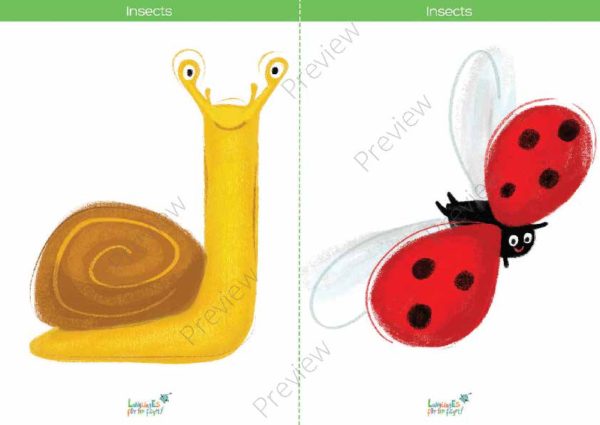 printable flashcards, snail, ladybird