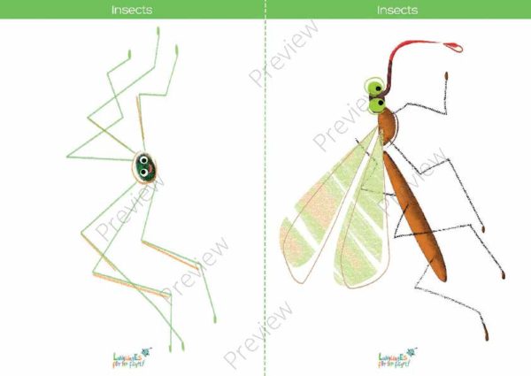 printable flashcards, spider, mosquito